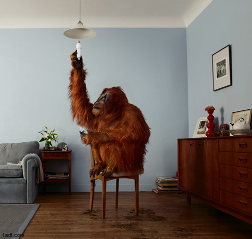 Meterkast upgrade Noordwijk